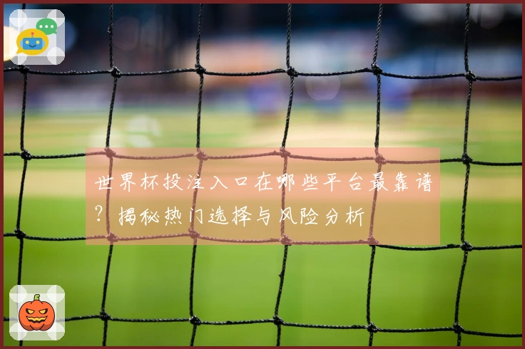 世界杯投注入口在哪些平台最靠谱？揭秘热门选择与风险分析