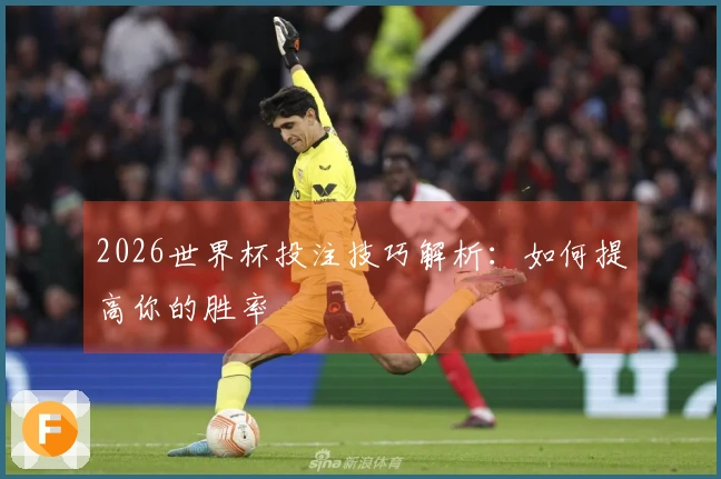 2026世界杯投注技巧解析：如何提高你的胜率