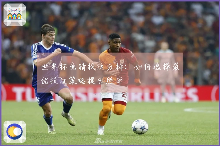 世界杯竞猜投注分析：如何选择最优投注策略提升胜率