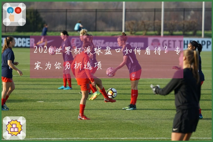 2026世界杯滚球盘口如何看待？专家为你分析选项