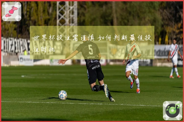 世界杯投注需谨慎 如何判断最佳投注时机