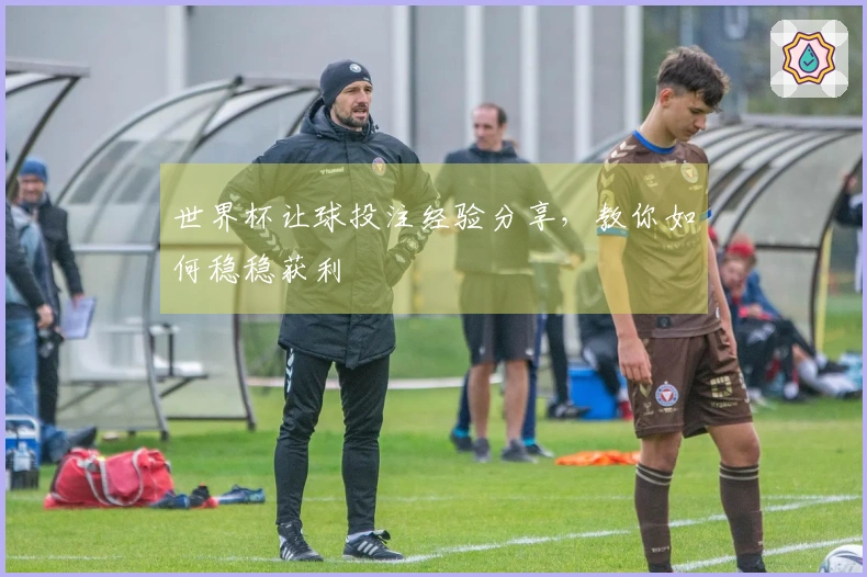 世界杯让球投注经验分享，教你如何稳稳获利