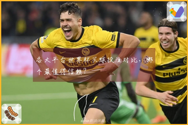各大平台世界杯买球投注对比，哪个最值得信赖？