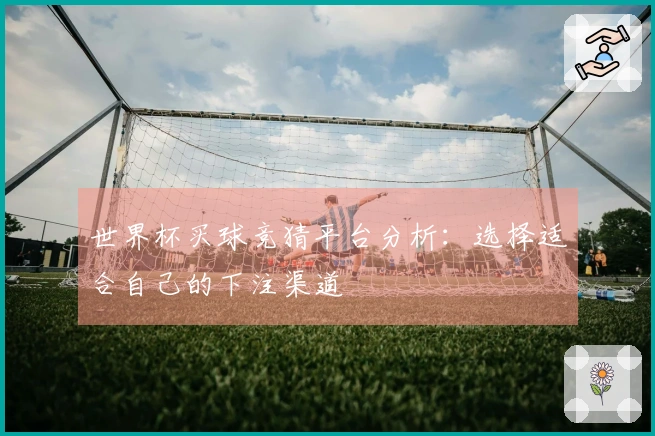 世界杯买球竞猜平台分析：选择适合自己的下注渠道