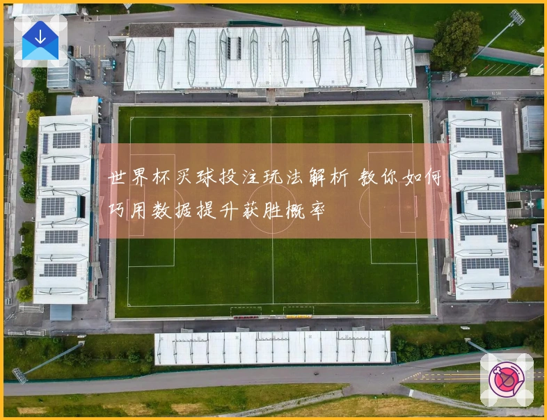 世界杯买球投注玩法解析 教你如何巧用数据提升获胜概率