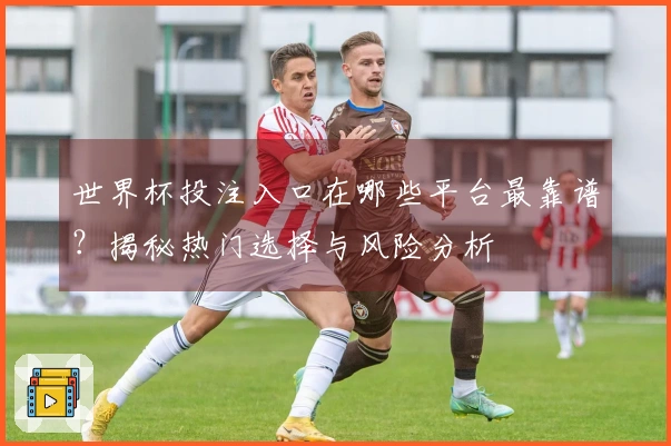 世界杯投注入口在哪些平台最靠谱？揭秘热门选择与风险分析