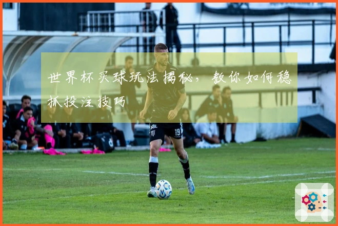 世界杯买球玩法揭秘，教你如何稳抓投注技巧