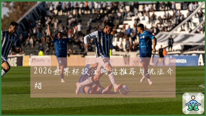 2026世界杯投注网站推荐与玩法介绍