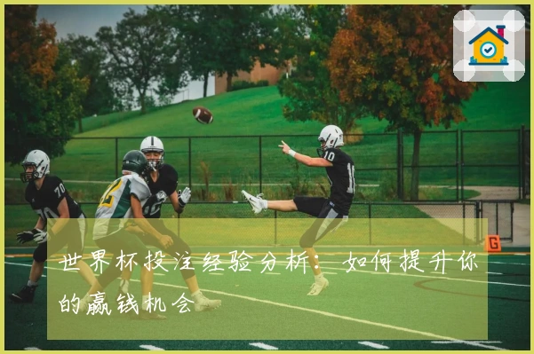 世界杯投注经验分析：如何提升你的赢钱机会