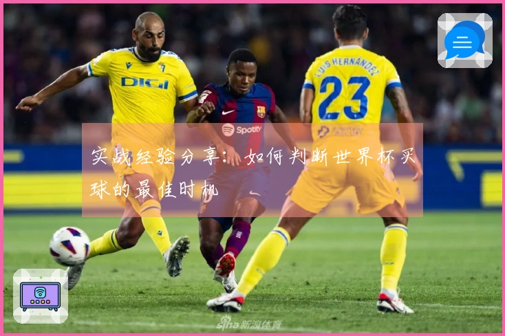实战经验分享：如何判断世界杯买球的最佳时机