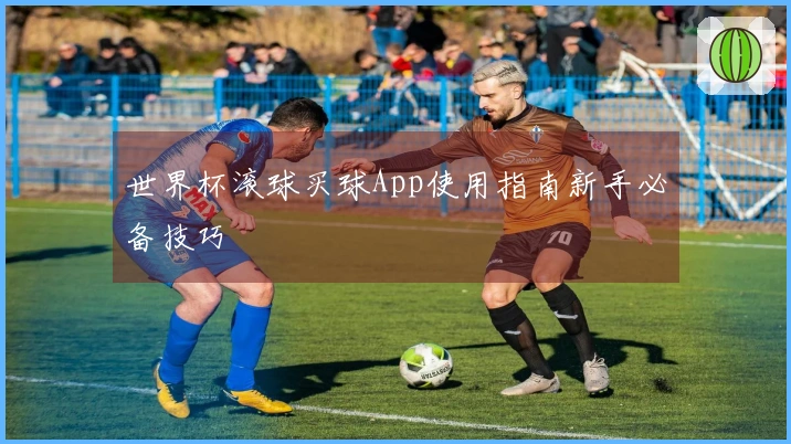 世界杯滚球买球App使用指南新手必备技巧