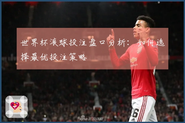 世界杯滚球投注盘口分析：如何选择最优投注策略