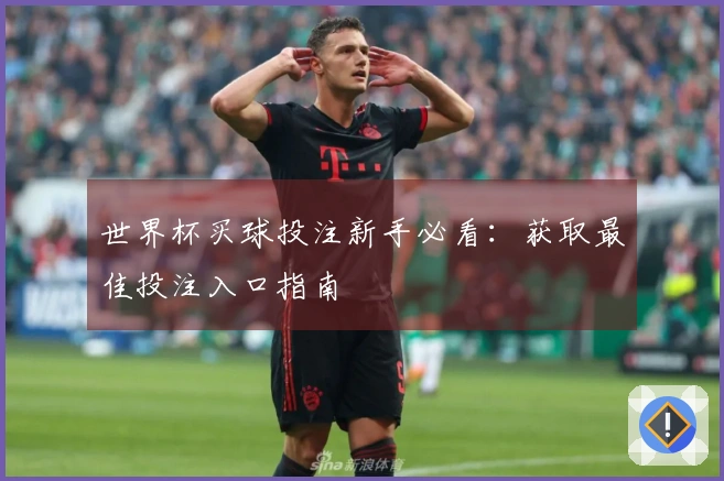 世界杯买球投注新手必看：获取最佳投注入口指南