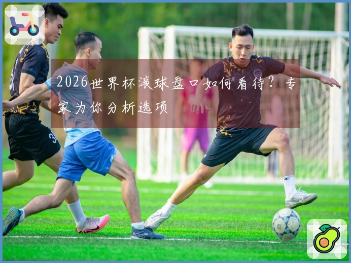 2026世界杯滚球盘口如何看待？专家为你分析选项