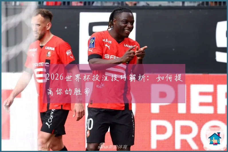 2026世界杯投注技巧解析：如何提高你的胜率