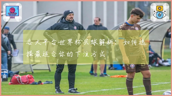 各大平台世界杯买球解析：如何选择最适合你的下注方式