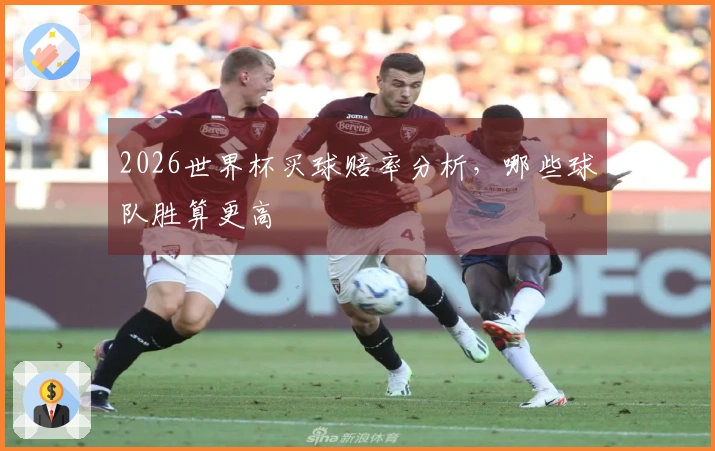 2026世界杯买球赔率分析,哪些球队胜算更高