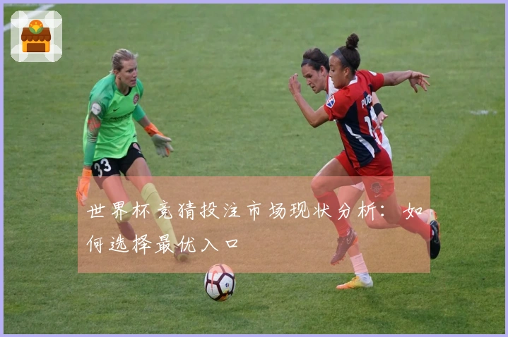 世界杯竞猜投注市场现状分析：如何选择最优入口