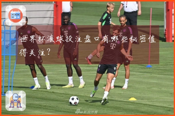 世界杯滚球投注盘口有哪些秘密值得关注？