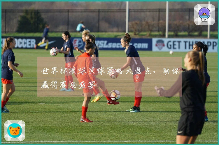 世界杯滚球买球策略大盘点，助你赢得赛场盛宴