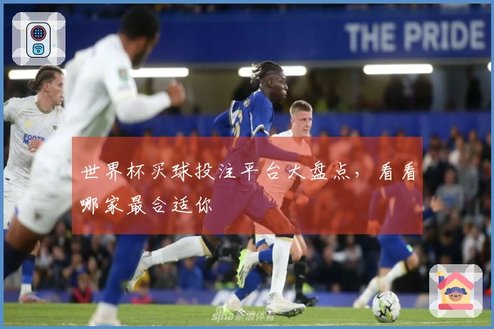 世界杯买球投注平台大盘点，看看哪家最合适你
