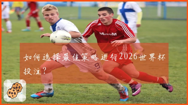 如何选择最佳策略进行2026世界杯投注？