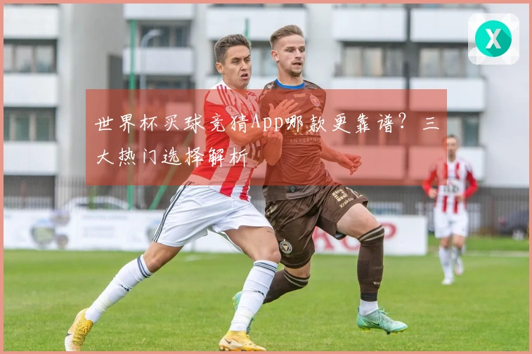 世界杯买球竞猜App哪款更靠谱？三大热门选择解析